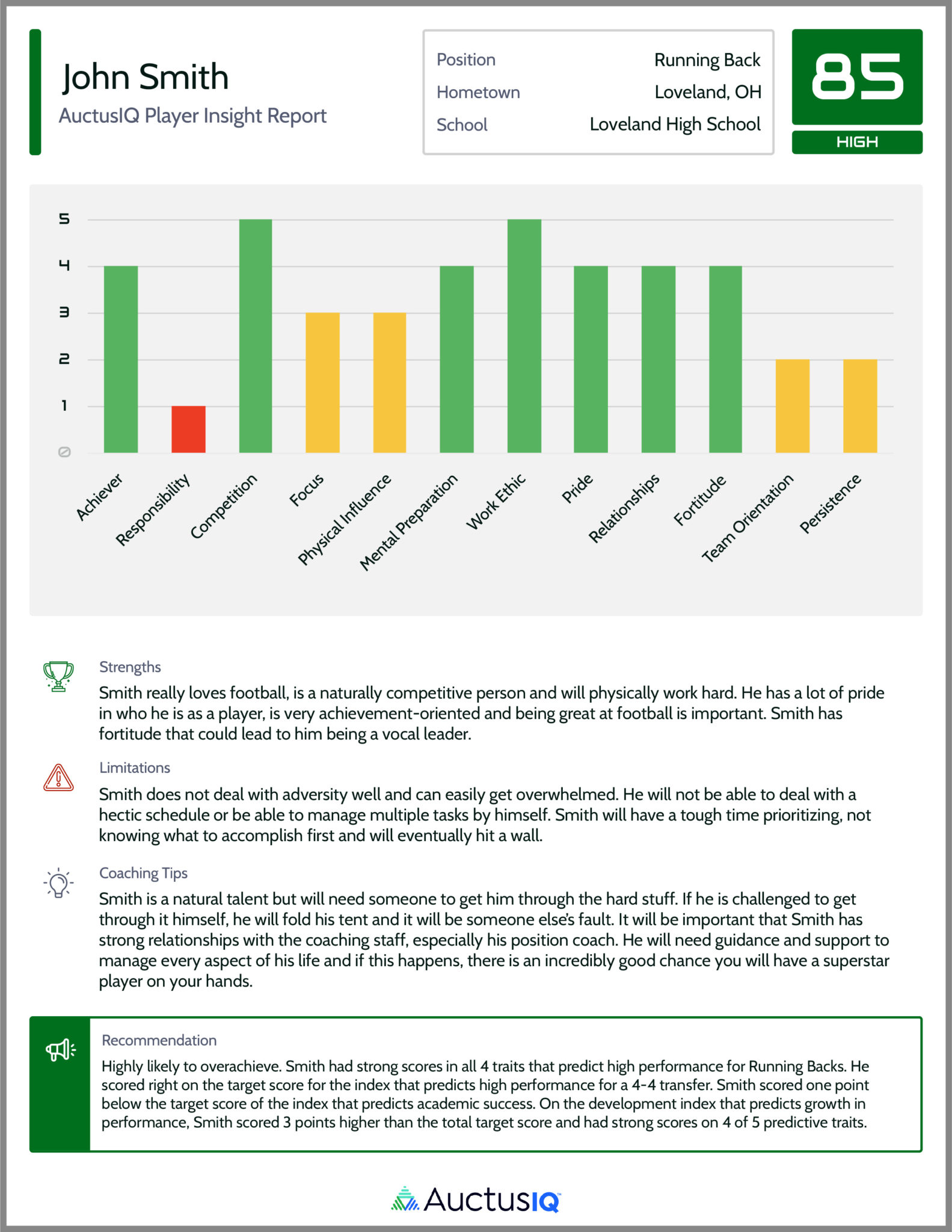 Player Insights Report example screen